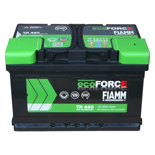 Fiamm batteria tr650 efb - batteria, 65ah